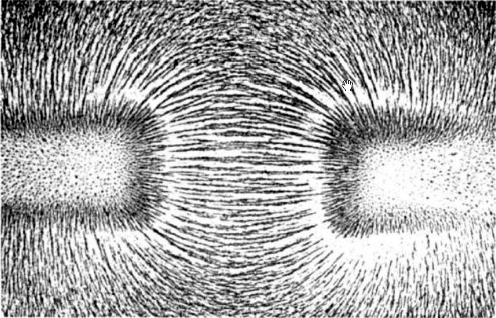 Iron filings tracing the magnetic field lines between the poles of two attracting bar magnets.