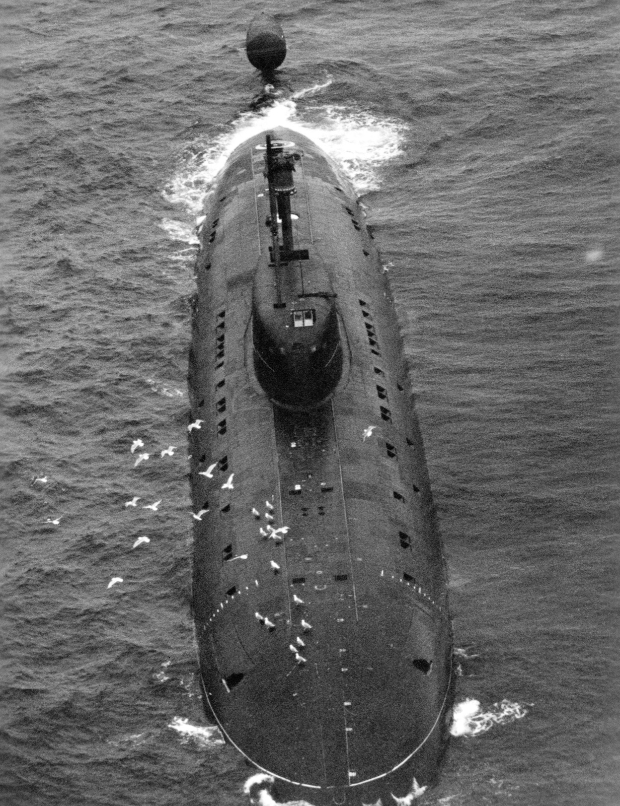 An aerial bow view of a Soviet Sierra-class nuclear-powered attack submarine underway on the surface, seagulls flying alongside.