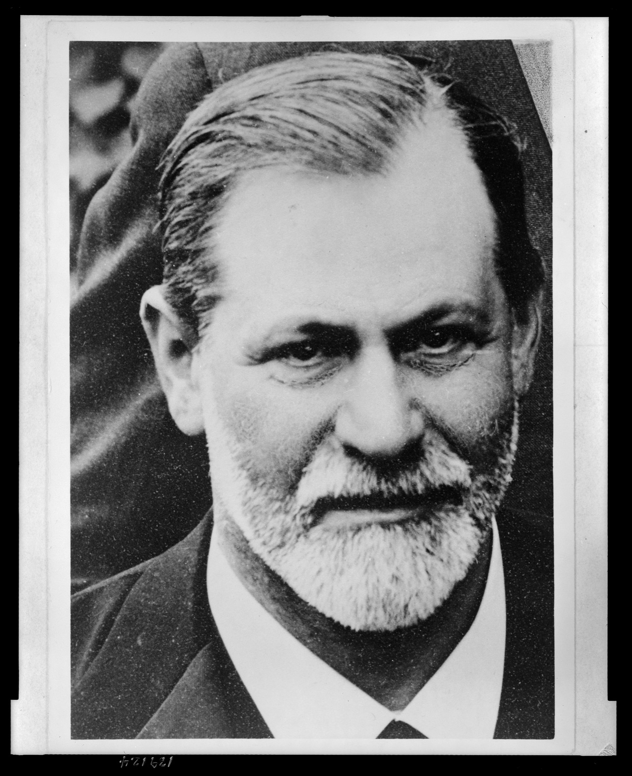 Black-and-white bust photograph of Sigmund Freud facing the camera, gray-bearded, wearing a dark suit and tie.
